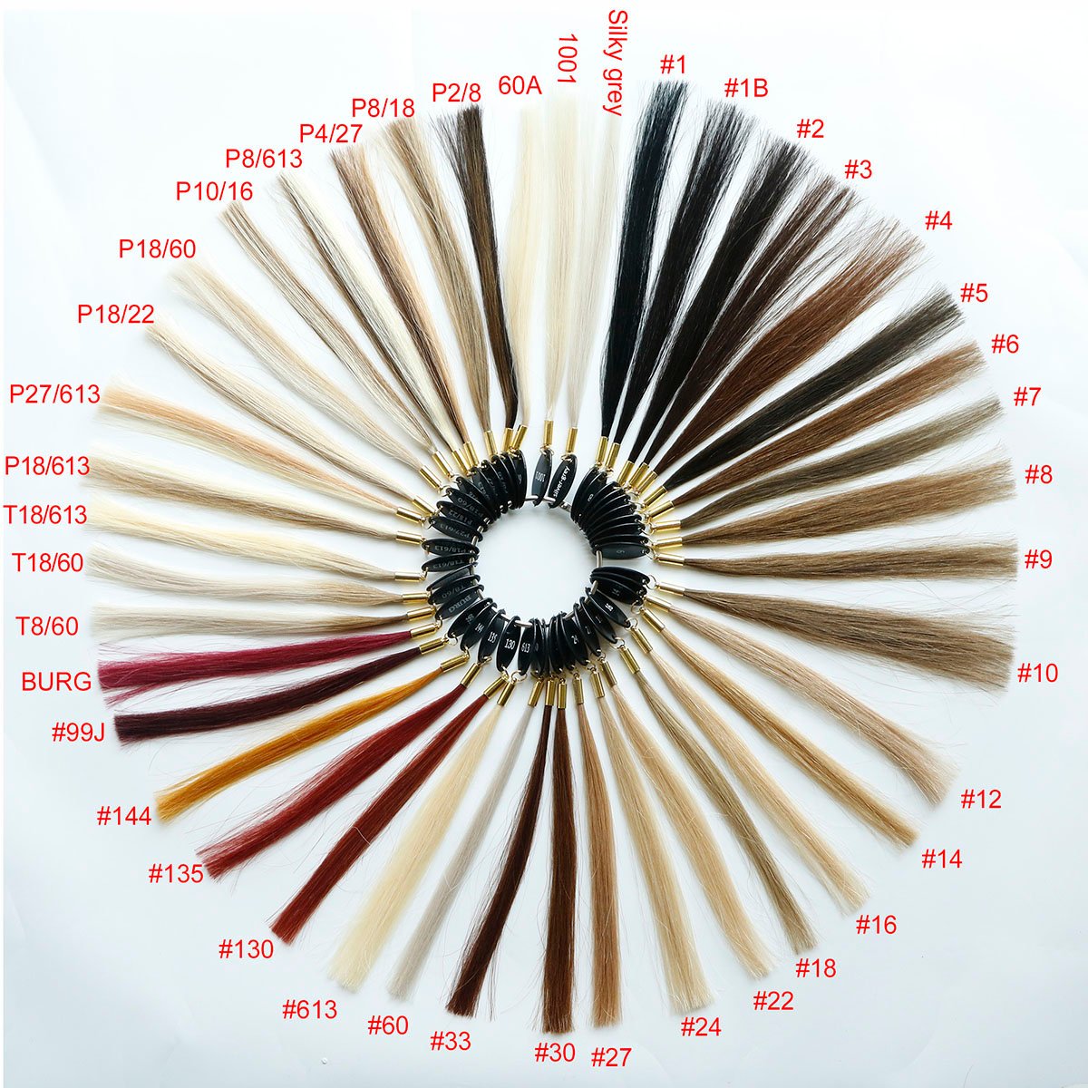 Human hair color chart